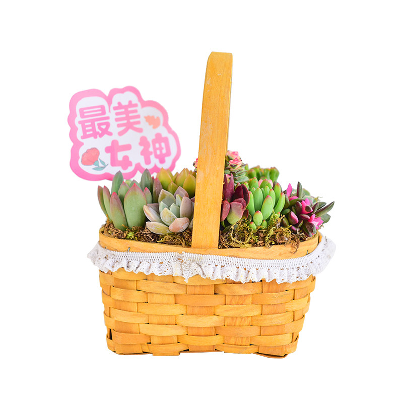 藤编材质，质感温润，耐旱易活