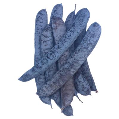 野生大皂角25年新货【18年老店】