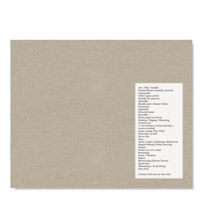 Alec Soth【签名版】亚历克索斯一堆照片英文*影集*影师专辑可拍多册进口原版书精装Alec Soth: A Pound of PicturesMACK