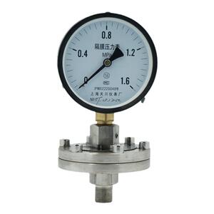 上海天川仪表/隔膜压力表YTP-100-ML防腐不锈钢隔膜