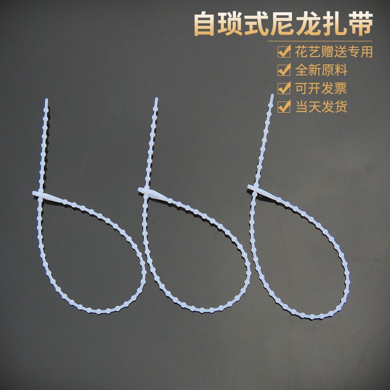 3*150珠孔形尼龙扎珠带珠带型形带珠孔尼龙扎扎株型型带厂尼龙扎