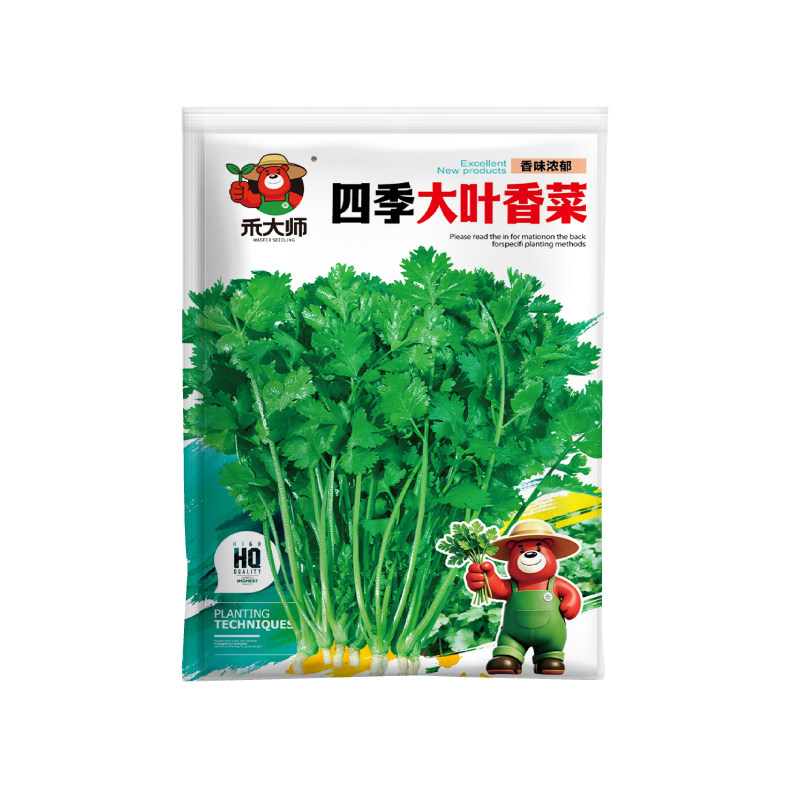 四季速生大叶香菜种子耐寒高产