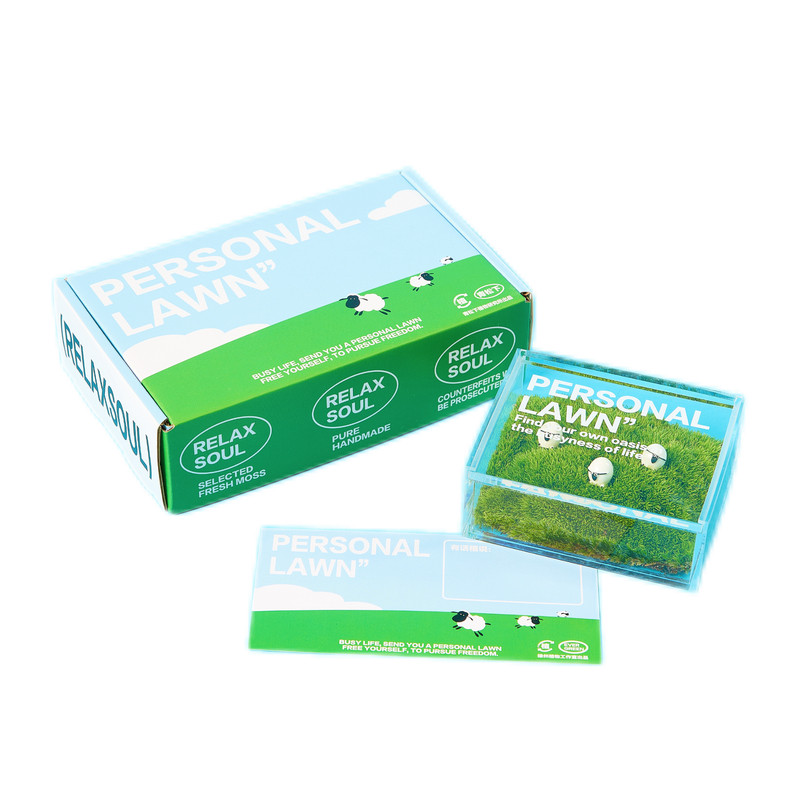 私人草坪苔藓微景观创意盆栽