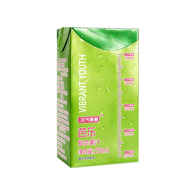 芭乐汁饮料整箱250ml*10盒