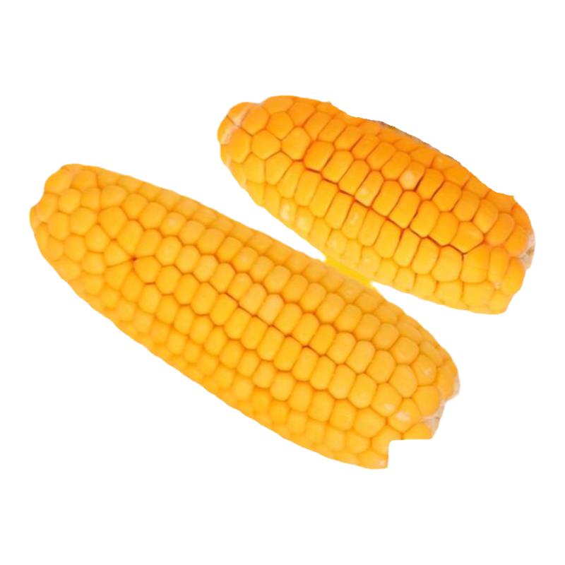 顺丰迷你玉米磨牙棒仓鼠最爱迷你晒干玉米棒农家自种小玉米零食