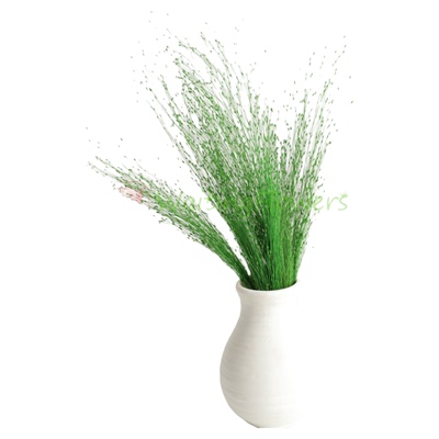 喷泉粉黛乱子永生花进口大地新娘