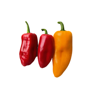 有机水果彩椒新鲜迷你灯笼甜椒红椒黄椒生吃沙拉菜健康无农残蔬菜