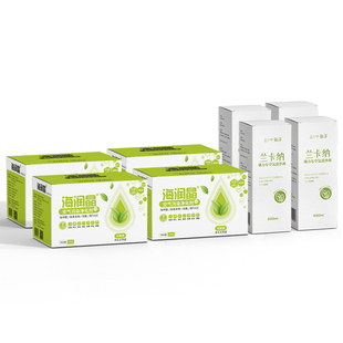 海润晶60平治理套装兰卡纳光触媒海瑞晶去味除甲醛活性炭新房家用