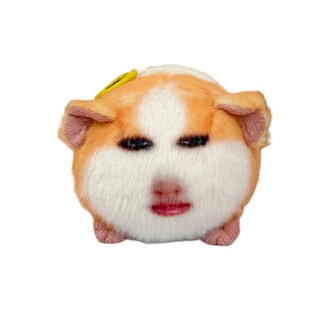 网红碧昂斯荷兰猪猪妞仙女下凡语音挂件按压发声毛绒玩偶抽象搞笑