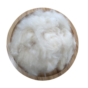 正品纯木棉枕芯全木棉花枕头散装天然攀枝花打坐垫做枕头芯填充物