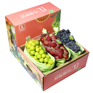 顺丰空运5斤组合3色葡萄晴王玫瑰青提+克伦生+夏黑组合新鲜水果