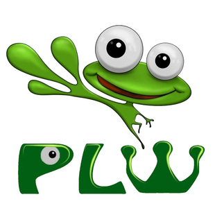 低音贝斯中 大 小提琴陪练机教程自学教学学习独奏视频CD乐器通用