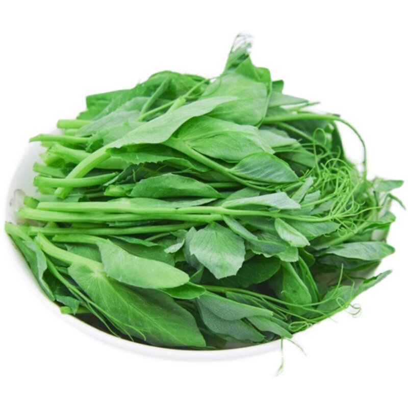 豌豆苗种蔬菜豌豆种籽尖芽苗菜种子种籽四季种植孑碗豆种碗豆吃苗