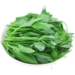 豌豆苗种蔬菜豌豆种籽尖芽苗菜种子种籽四季种植孑碗豆种碗豆吃苗