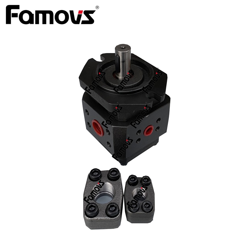 2GG1P22R 台湾Famovs 高压齿轮泵 高压油泵2GG1P  质保一年