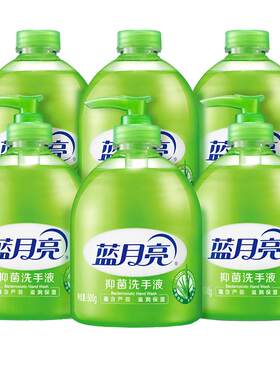 蓝月亮芦荟抑菌洗手液