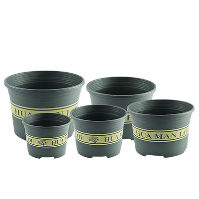 月季绿萝加仑盆盆栽矮胖塑料