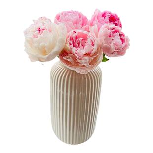 重瓣芍药鲜花进口沙拉鲜切花牡丹插花客厅花卉基地落日珊瑚鲜花束
