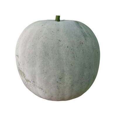 香芋小冬瓜种籽迷你小东瓜种子