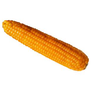 真空熟的老笨玉米棒嫩黄农家低脂无糖代餐孕妇健身有嚼劲粗粮减