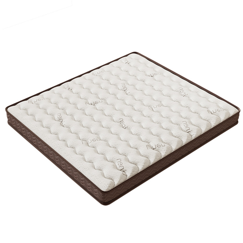 床垫硬垫子天然椰棕榈10cm厚床垫护脊不塌陷180x200偏硬专用棕垫
