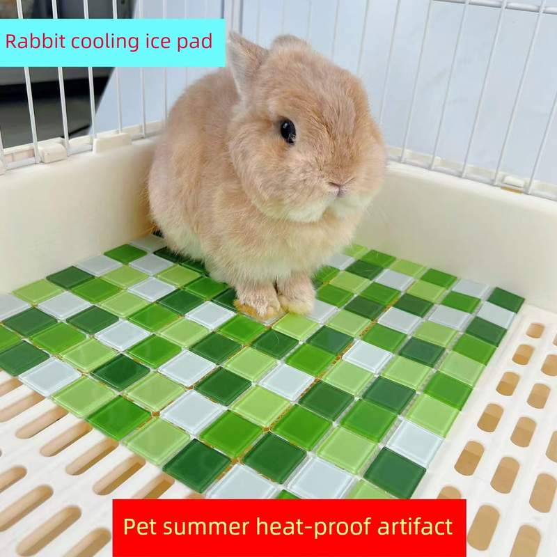 宠物降温仓鼠夏季降温夏季冰垫降温豚鼠兔子降温神器
