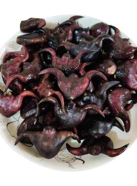 广东新鲜菱角5斤粉嫩农家莲角