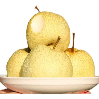 酥梨砀山梨汤山梨10斤现摘梨子香雪梨应季水果梨新鲜整箱包邮新鲜