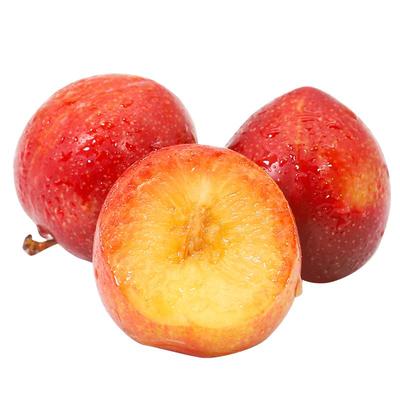 顺丰次日达|纯甜无酸|精美礼盒