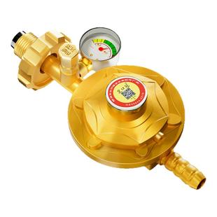 防爆安全煤气罐减压阀家用液化气管阀门软管煤气灶专用配件新国标