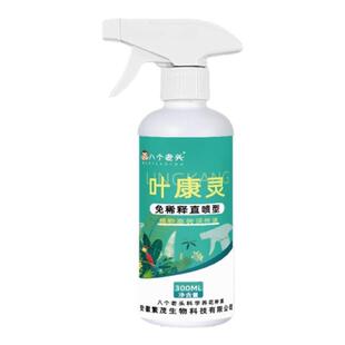 叶康灵兰花专用杀菌药治叶子黑斑病黄叶焦尖烂根兰花系专用营养液