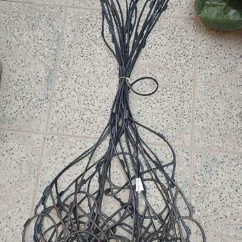 溢价-【】Alfa Laval 阿法拉伐M10-MFM垫片 ，