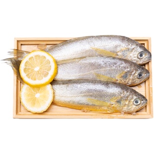 舟山小黄鱼新鲜冷冻正宗冰冻东海商用特产冰鲜深海黄花鱼梅鱼