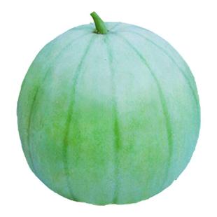 一窝猴圆酥瓜种子圆脆瓜种籽老品种菜瓜露天大棚水果种子高产种子