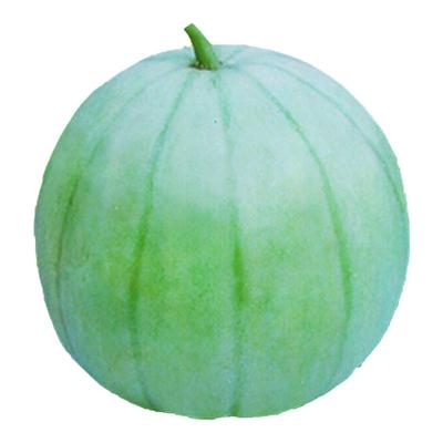 一窝猴圆酥瓜种子脆瓜老品露天