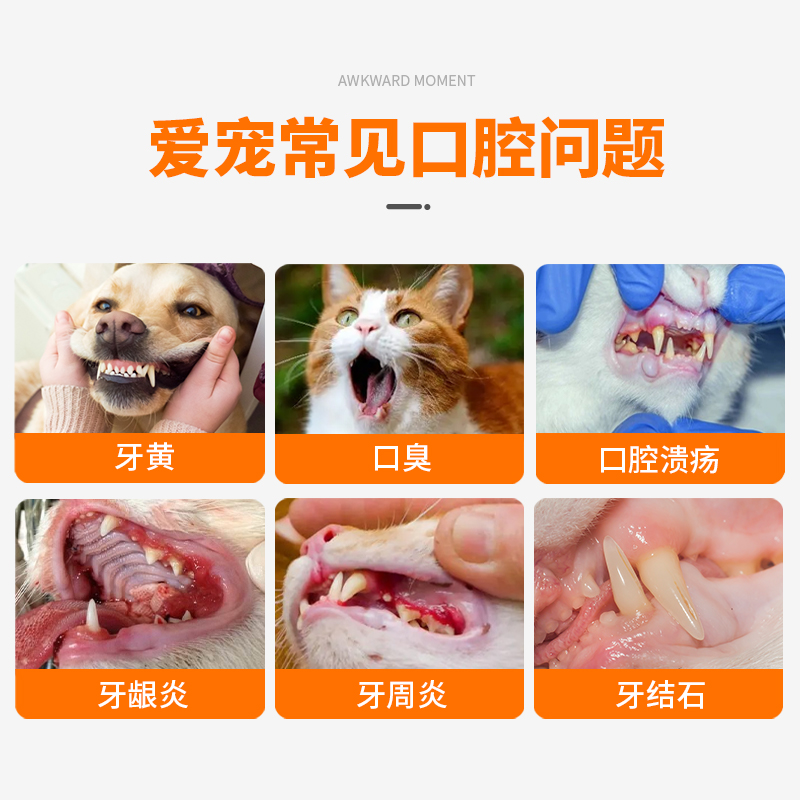 普安特猫咪狗狗替代漱口水口腔清洁口臭牙齿清洁喷雾适可林洁齿水