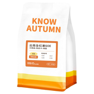 KNOW知秋咖啡 肯尼亚SOE精品咖啡豆手冲冷萃意式咖啡中烘200g