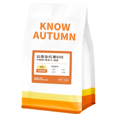 KNOW知秋咖啡 肯尼亚SOE精品咖啡豆手冲冷萃意式咖啡中烘200g