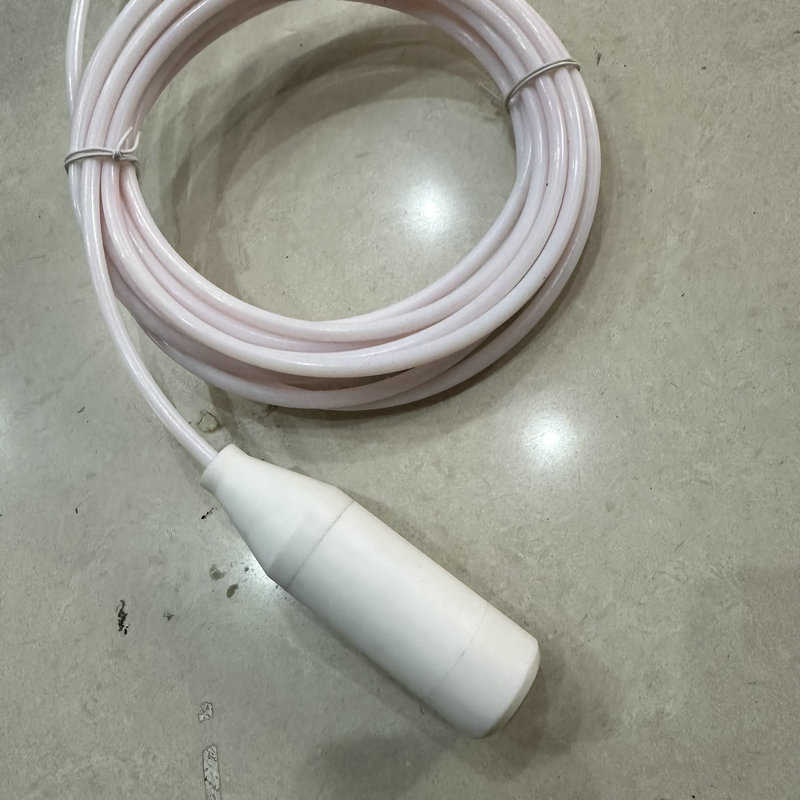 四氟投入式防腐温度变送器耐酸碱4-20MA带显示温度传感器PT100探