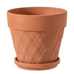 国际盆大尺寸蝴蝶兰透气圆形花盆玛奇朵花盆多肉育苗盆简约款陶盆