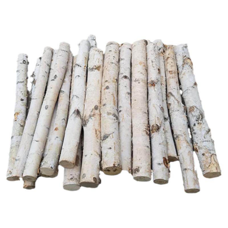 白桦木树干艺术装饰白树干白杨树白桦树隔断玄关婚庆道具干支树桩