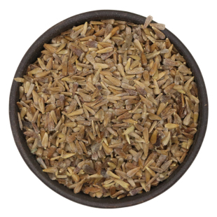 菊花种子七彩翠菊种子重瓣四季阳台庭院盆栽易活花草翠菊花卉种子