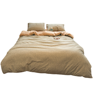 秋冬加厚牛奶绒床上四件套纯棉ab面珊瑚绒被套加绒床单公寓三件套