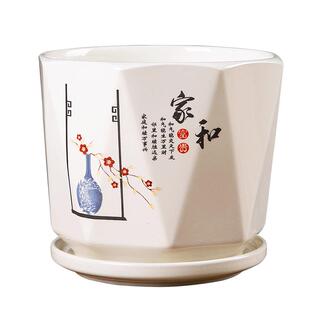 花盆陶瓷清仓处理大口径白色创意简约绿萝蝴蝶兰花多肉盆栽带托盘