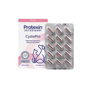 【自营】沙斯多保英国公司进口猫狗泌尿犬痛利尿通结石尿频修复