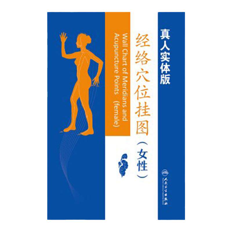 经络穴位挂图女性人卫社参考书