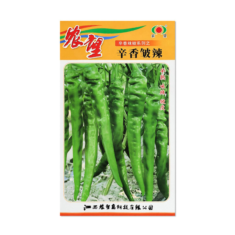 农望辛香皱辣辣椒种子