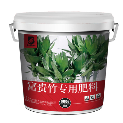 观音竹水培植物颗粒营养液包邮