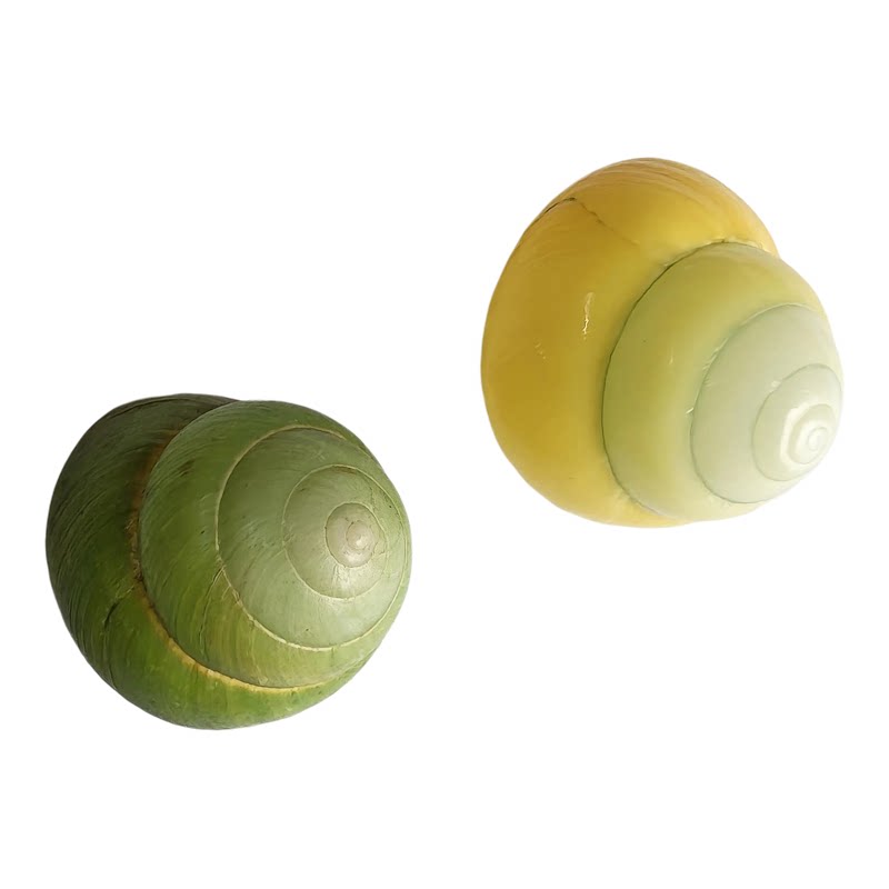 黄苹果蜗牛壳寄居蟹卷贝鱼替换壳