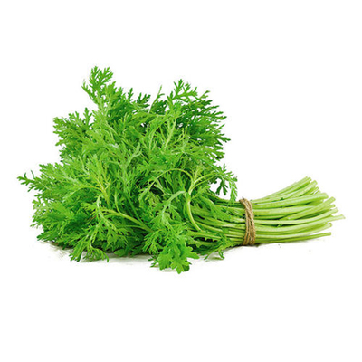 美味小叶茼蒿种子茼蒿菜